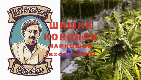 стаф Липки