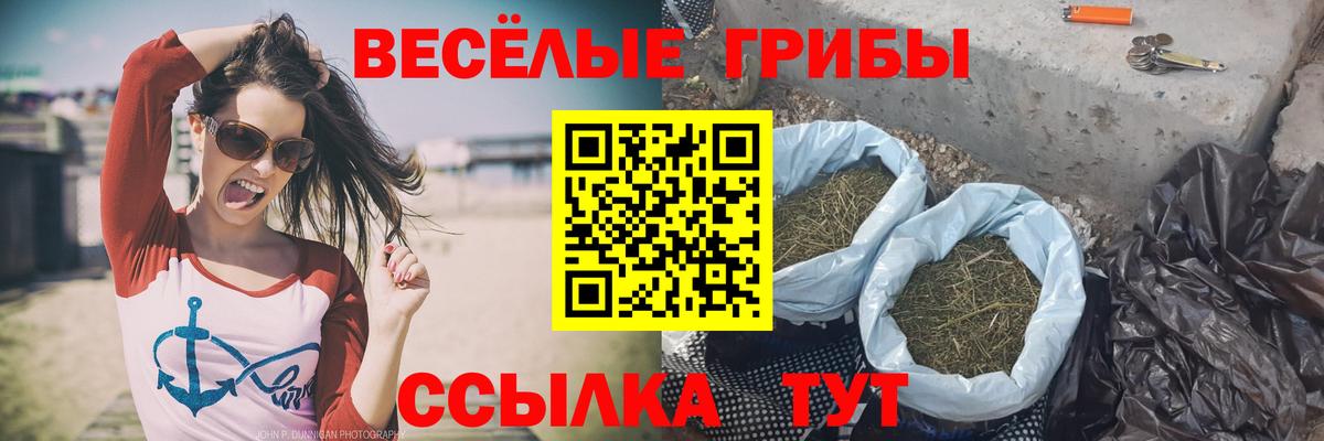 Лобня  Галлюциногенные грибы Cubensis  Вход с VPN 